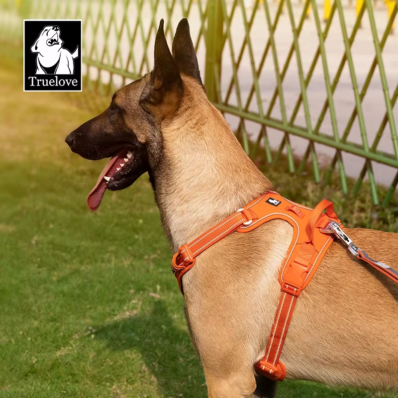 No-Pull Dog Harness